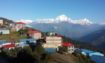 Ghorepani Poon Hill Trek Provide By Nepal Easy Trek