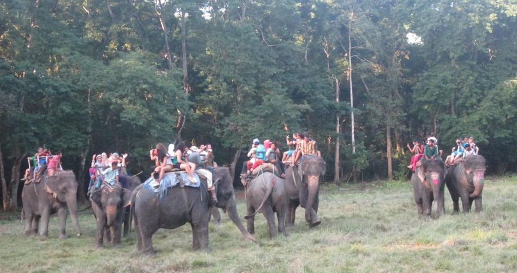 2 Nights 3 Days Bardia Jungle Safari